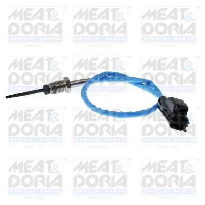 Sensor, exhaust gas temperature